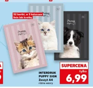 Zeszyt Interdruk