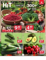 Wielkie letnie smakowanie - Selgros Cash&Carry