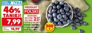Borówki amerykańskie Polski