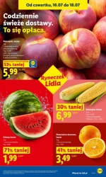 Weekend zakupowych hitów - Lidl
