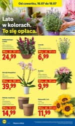 Weekend zakupowych hitów - Lidl