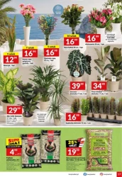 Superoferty blisko Ciebie - Twój Market