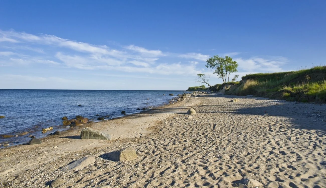 Wyspa Fehmarn oferuje aż 78 km plaż Piaszczysta plaża na wyspie Fehmarn, rozproszone kamienie, spokojne morze, drzewa i zielone wydmy pod niebem.