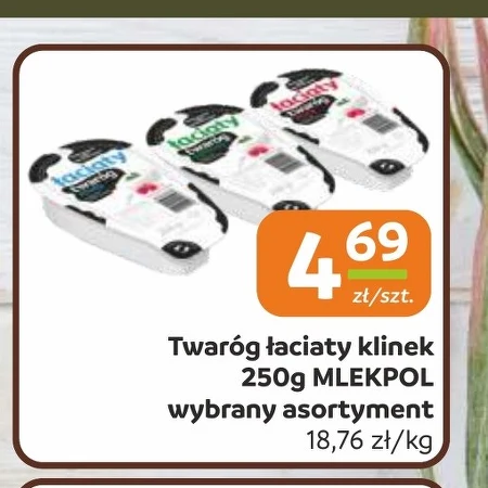Сир Mlekpol