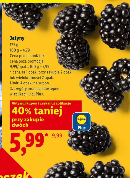 Ожина Plus-Plus