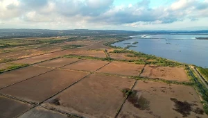 Produkcja soli w Ulcinj w Czarnogórze rozpoczęła się niemal sto lat temu