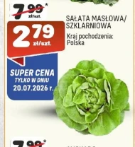 Sałata masłowa