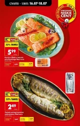 Letnie okazje na każdą kieszeń - Biedronka