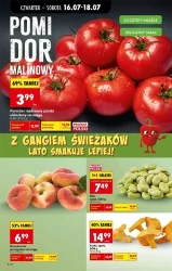 Letnie okazje na każdą kieszeń - Biedronka