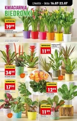 Letnie okazje na każdą kieszeń - Biedronka