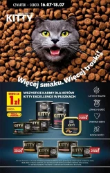 Letnie okazje na każdą kieszeń - Biedronka