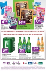 Promocyjne hity na lato - Stokrotka Express