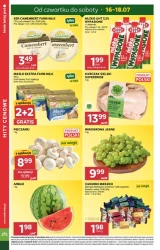 Tanie zakupy pełne smaku - Stokrotka Supermarket