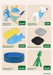 Maxi ochłoda tego lata - Maxi ZOO