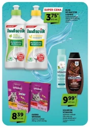 Poczuj smak wakacji - moje sklepy supermarket