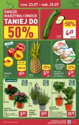 Wybieram Aldi, bo jest tanio - Aldi
