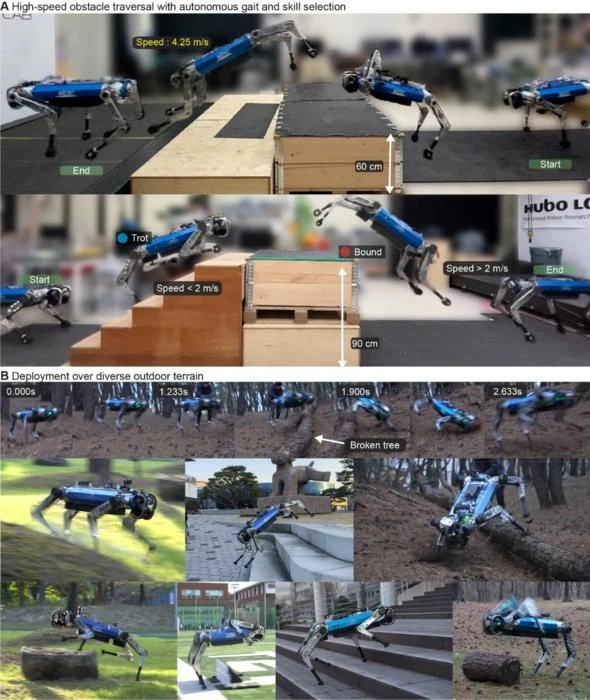 Robotyczny pies pokonuje różnego rodzaju przeszkody, w tym wysokie platformy, schody, nierówny teren i powalone drzewo, prezentując automatyczny dobór chodu oraz płynne przemieszczanie się w zróżnicowanym środowisku z dużą prędkością.
