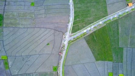 Zmiana klimatu w nadchodzących dekadach całkowicie przekształci globalną mapę produkcji żywności
