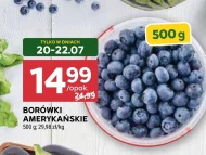 Borówki amerykańskie