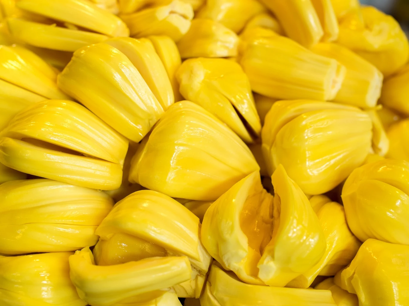 Jackfruit dostarcza około 95 kcal w 100 g i zawiera sporo węglowodanów. Segmenty dojrzałego jackfruita o intensywnie żółtym kolorze, ułożone ciasno obok siebie na zdjęciu.