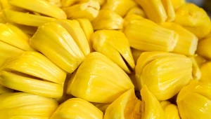 Jackfruit dostarcza około 95 kcal w 100 g i zawiera sporo węglowodanów.