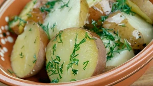 Koperek rośnie w niemal każdym ogródku. Jedno z lepszych ziół na trawienie