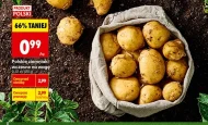 Ziemniaki Polski