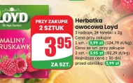 Фруктовий чай Loyd