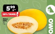 Melon