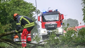 Skutki środowej nawałnicy w Friedrichshafen w Badenii-Wirtembergii w Niemczech. W czwartek w tym regionie burza zabiła rowerzystę