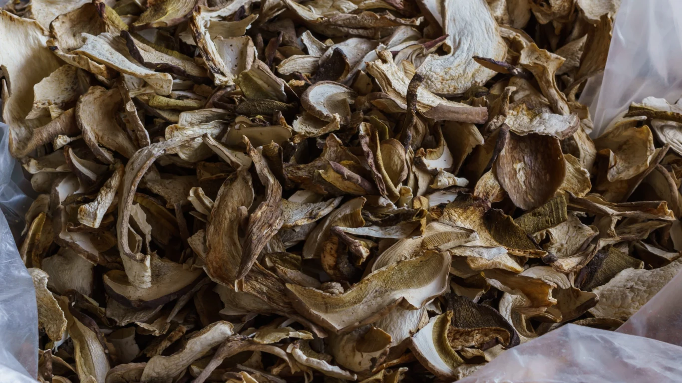 Suszone grzyby nie powinny być przechowywane w reklamówce ani plastikowym pojemniku Suszone grzyby nie powinny być przechowywane w reklamówce ani plastikowym pojemniku