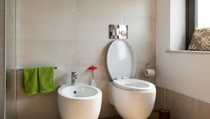 Bidet czy bidetta w toalecie? W Japonii króluje inne rozwiązanie