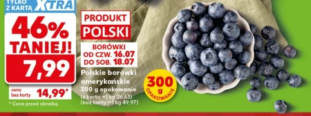 Чорниця Polski