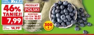 Borówki amerykańskie Polski