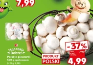 Pieczarki Polski