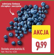 Borówka amerykańska