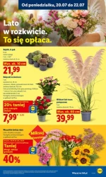 1000 powodów do oszczędzania - Lidl