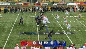 Panthers Wrocław - Firenze Red Lions. Skrót meczu