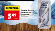 Дорадо Marinero