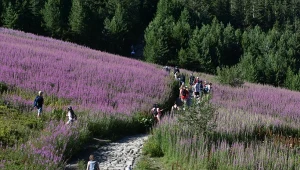 Co roku przyciąga pod Tatry setki tysięcy turystów. Wskazano na datę
