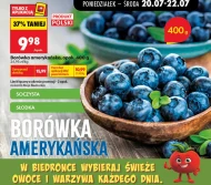 Borówka amerykańska Biedronka