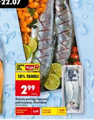 Pstrąg tęczowy Marinero