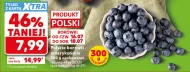 Borówki amerykańskie Polski