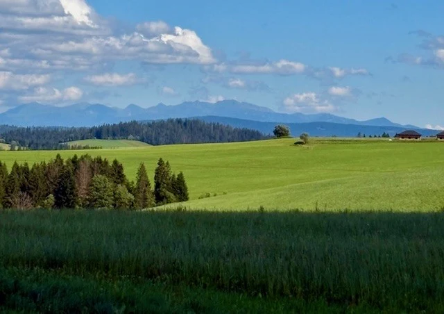 Rozległe zielone łąki i pola przeplatane rzędami drzew, w oddali zarys górskich szczytów pod błękitnym niebem z białymi chmurami.