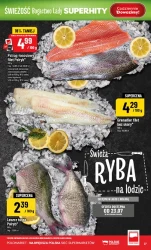 Letnie okazje na co dzień - Polomarket