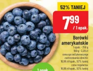 Borówki amerykańskie