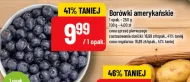 Borówki amerykańskie