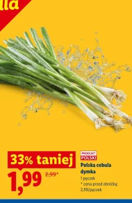 Cebula dymka Polski