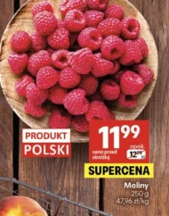 Малина Polski