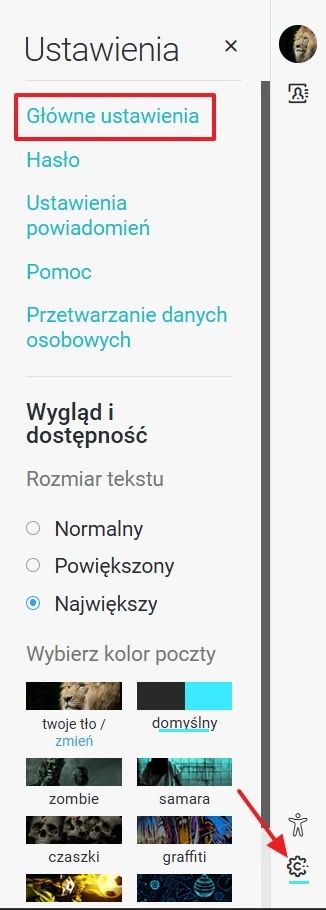 Panel ustawień z wyróżnioną opcją „Główne ustawienia”, sekcjami dotyczącymi zmiany hasła, powiadomień, przetwarzania danych i wyglądu, a także lista motywów kolorystycznych skrzynki pocztowej oraz zaznaczony największy rozmiar tekstu.